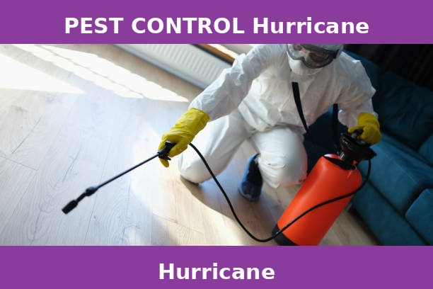 PEST CONTROL Hurricane